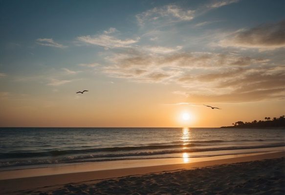 7 Steps to Take When a Loved One Passes Away in Florida